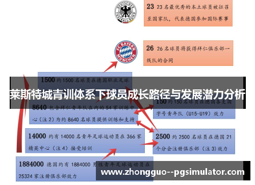 莱斯特城青训体系下球员成长路径与发展潜力分析