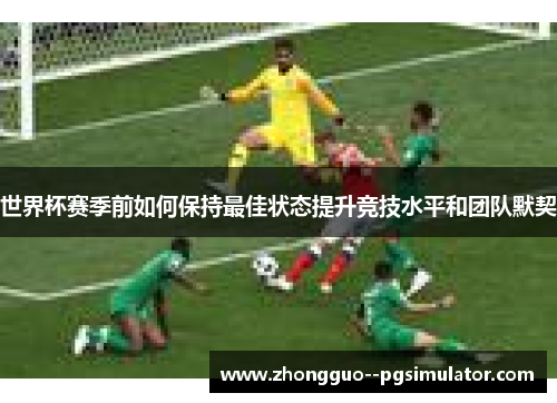 世界杯赛季前如何保持最佳状态提升竞技水平和团队默契