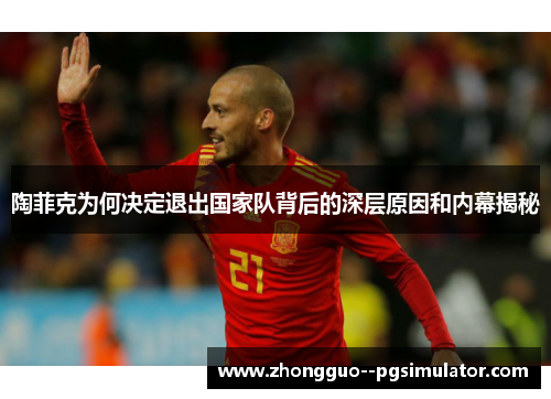 陶菲克为何决定退出国家队背后的深层原因和内幕揭秘