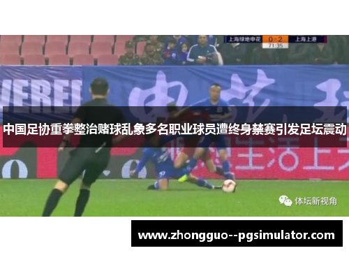 中国足协重拳整治赌球乱象多名职业球员遭终身禁赛引发足坛震动 中国足协重拳整治赌球乱象多名职业球员遭终身禁赛引发足坛震动