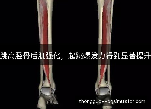 跳高胫骨后肌强化，起跳爆发力得到显著提升